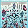Injectable stanozolol and athletes' health: in-depth study