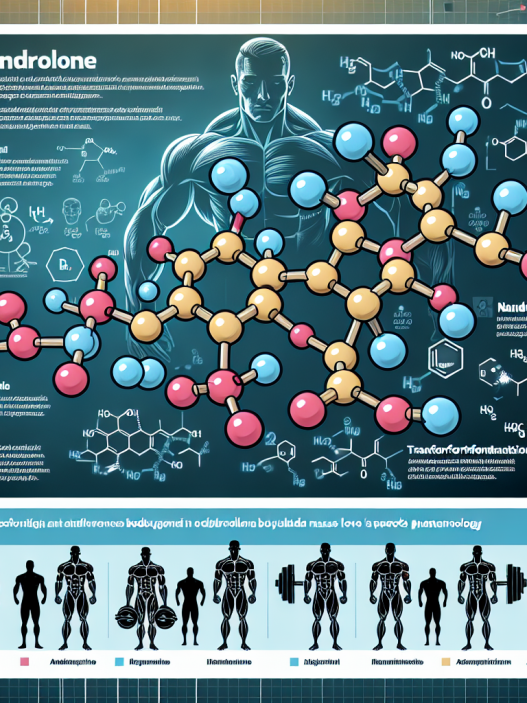 Nandrolone and its influence on muscle mass: focus on sports pharmacology